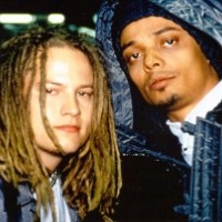 Biografie Bomfunk Mc`s
