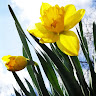 User_10864