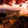 User_13938