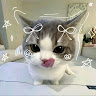 User_3022