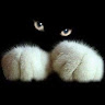 User_3094