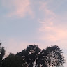 User_7221