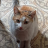 User_7255