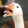 User_7718