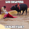 User_8243