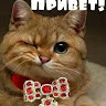 User_9890