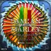 Cover Skrillex & Damian "Jr. Gong" Marley - Make It Bun Dem Skrillex & Damian "Jr. Gong" Marley - Make It Bun Dem