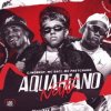 Cover MC Saci - Aquariano Nato (MC PRETCHAKO & DJ SAMMER) MC Saci - Aquariano Nato (MC PRETCHAKO & DJ SAMMER)