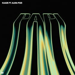Cover KAAZE feat. Alina Pozi - Papi