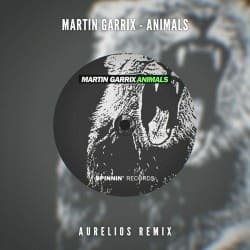 Cover Martin Garrix - Animals (Aurelios Remix)