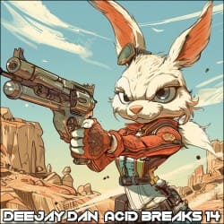 Cover DeeJay Dan - Acid Breaks 14 [2024]