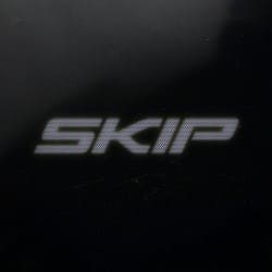 Cover Sebastian Ingrosso & Steve Angello - Skip