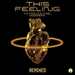 Cover Vintage Culture feat. Goodboys - This Feeling (Velvet Mode And Chris Arna Remix)