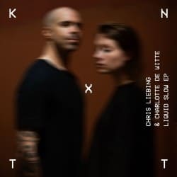 Cover Chris Liebing & Charlotte De Witte - In Memory