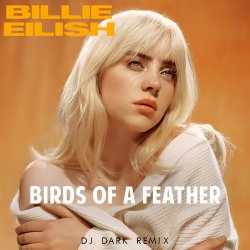 Cover Billie Eilish - Birds Of A Feather