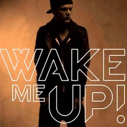 Avicii feat. Aloe Blacc - Wake Me Up - Wake Me Up