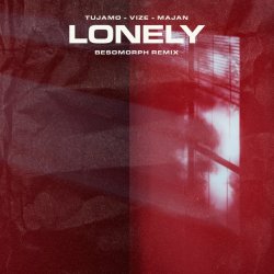 Cover Tujamo feat. VIZE & Majan - Lonely (Besomorph Remix)