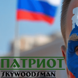 Cover Skywoodsman - патриот