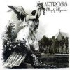 Artrosis - Lisa