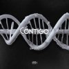 Cover SHADU - CONTIGO SHADU - CONTIGO