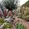Echo Gardens - Den nich