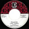 Cover The Doors - Love Street The Doors - Love Street