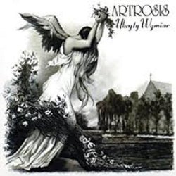 Cover Artrosis - Lisa