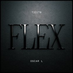 Cover Tiesto & Oscar L - Flex