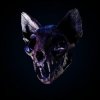 Cover Darci - Wild Horse Darci - Wild Horse