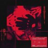 Cover Darci - Code Red Darci - Code Red