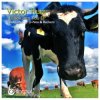 Cover Victor Ruiz - I Look Into You Victor Ruiz - I Look Into You
