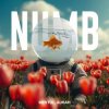 Cover Linkin Park - Numb (Mentol Remix) Aurah Cover Linkin Park - Numb (Mentol Remix) Aurah Cover