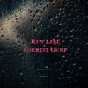 Cover DA TI - RUN LIKE FORREST GUMP (SIRIN INCI REMIX) DA TI - RUN LIKE FORREST GUMP (SIRIN INCI REMIX)