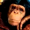 Cover Алексин - Ну Что Ж Ты Страшная Такая Алексин - Ну Что Ж Ты Страшная Такая