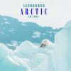 Cover Leonardus - Lovestruck Leonardus - Lovestruck