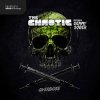 Cover The Chaotic - Project Ghost The Chaotic - Project Ghost