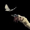 Cover The Temper Trap - Sweet Disposition (ARTBAT Remix) The Temper Trap - Sweet Disposition (ARTBAT Remix)