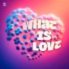 Cover SYNFLO & Niki Four - What Is Love SYNFLO & Niki Four - What Is Love