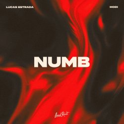 Cover Estrada & Modi - Numb Lucas