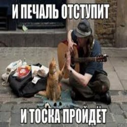 Cover Ноль - Человек И Кошка