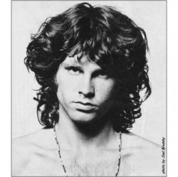 Cover The Doors - Wild Child