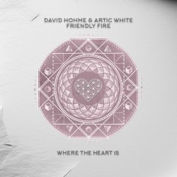 Cover David Hohme & Artic White - Friendly Fire