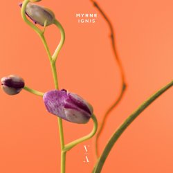 Cover MYRNE - Time (Something To You)