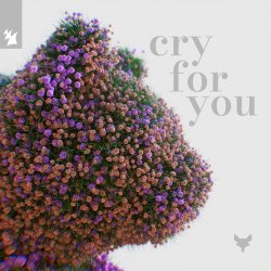 Cover Cat Dealers & Tineway & Dani Doucette - Cry for You