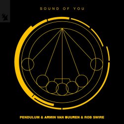 Cover Pendulum & Armin van Buuren & Rob Swire - Sound of You