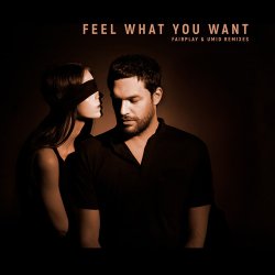 Cover Phonique & Rebecca - Feel What You Want (Fairplay Remix)