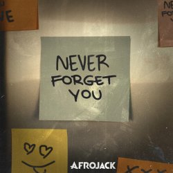 Cover AFROJACK - Never Forget You