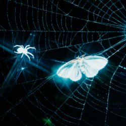 Cover MOTHICA - Toxins (Remix)