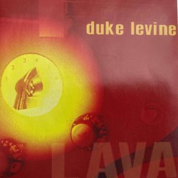 Cover Duke Levine - Manhole