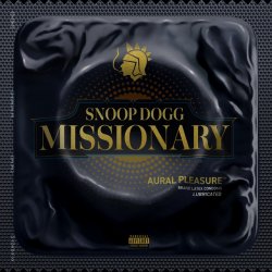Cover Snoop Dogg & Tom Petty & Jelly Roll - Last Dance with Mary Jane